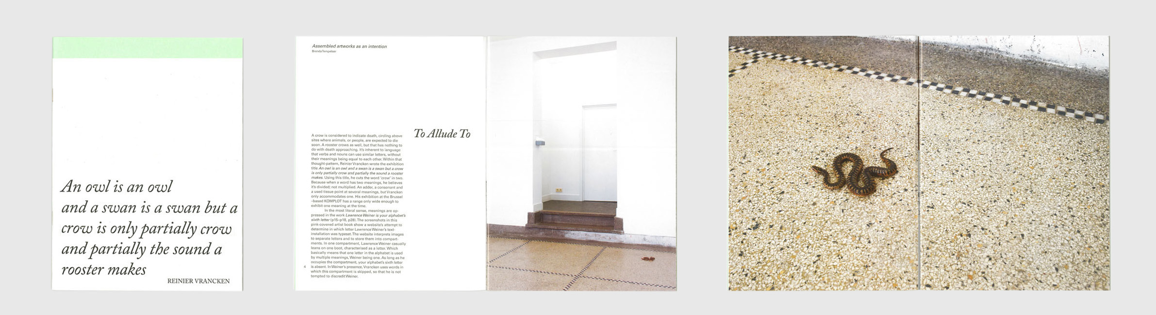 Reinier Vrancken, An owl is an owl and a swan is a swan but a crow is a crow and partially the sound a rooster makes
