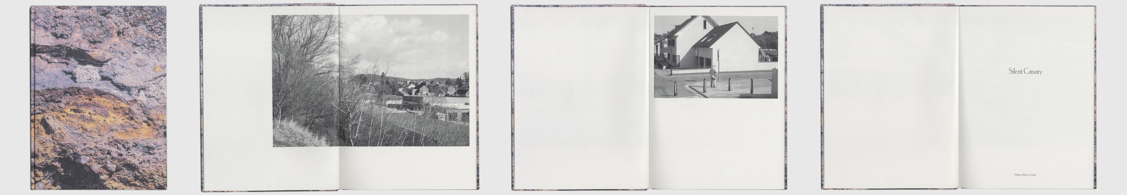 Filippo Maria Ciriani, Silent Canary